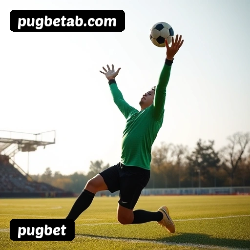 Suporte 24 horas pugbet